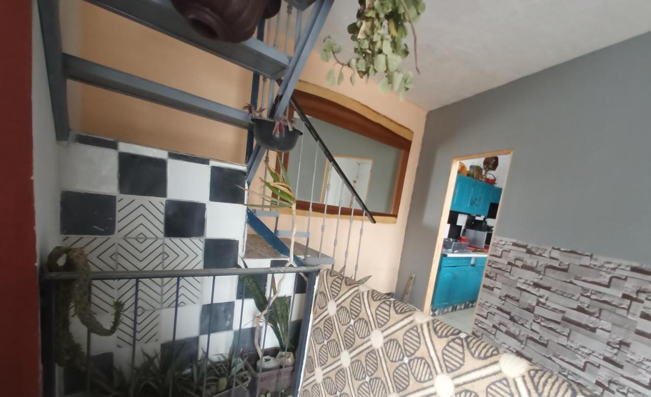 Bugambilias Departamentos Lukasa Home Guadalajara Buitenkant foto